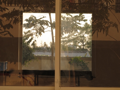 View of a Window through another window. Best part is the reflection of trees on first window while visible trees on the other side of second window.